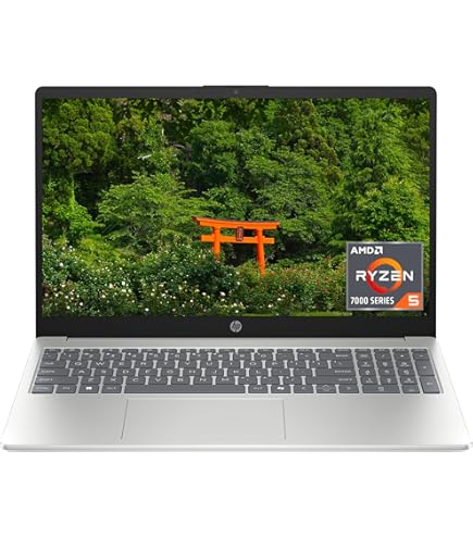 Amazon.com: HP 15.6