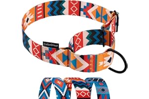 CollarDirect Aztec Martingale Collars for Dogs Heavy Duty Tribal Pattern Safety Nylon Training Collar Large Medium Small (XL,