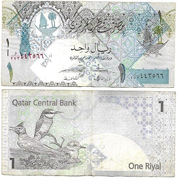 Qatar 1 Riyal Note Bird Amazon In Toys Games