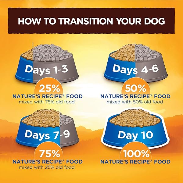 NATURE’S RECIPE SMALL BREED DRY DOG FOOD, CHICKEN, SWEET POTATO & PUMPKIN RECIPE, 4 POUNDS, GRAIN FREE