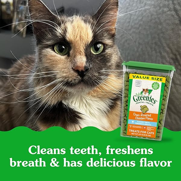 GREENIES CAT TREATS, FELINE VETERINARIAN-RECOMMENDED ADULT NATURAL DENTAL CAT TREATS, OVEN ROASTED CHICKEN FLAVOR, 9.75 OZ. TUB