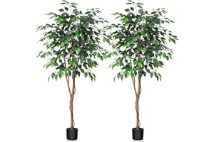 Kazeila 5 Feet Artificial Ficus Tree - Fake Silk Plants with Lifelike Leaves and Natural Wood Trunk - Faux Potted Tree for Indoor Home Decor - 2 Pack