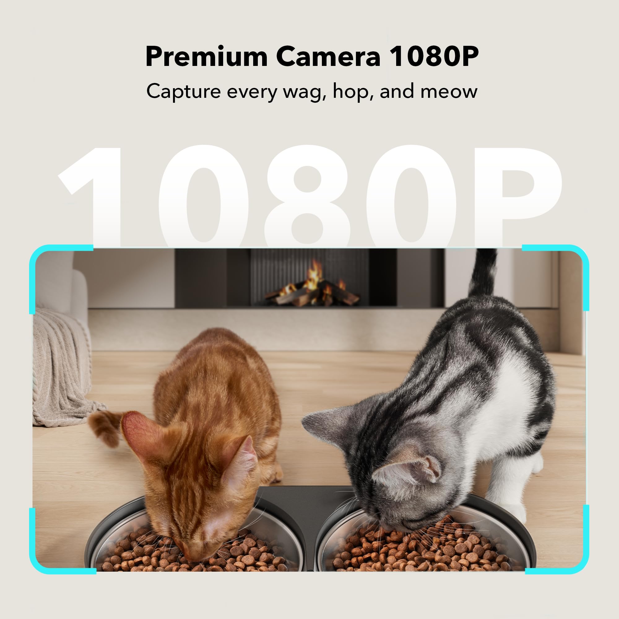 PETLIBRO Automatic Cat Feeder with Camera for Two Cats, 1080P HD Video
