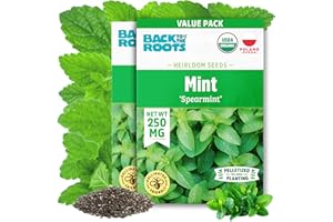 Back to The Roots 100% Organic Heirloom Seeds - Spearmint Value Pack (250mg Total)