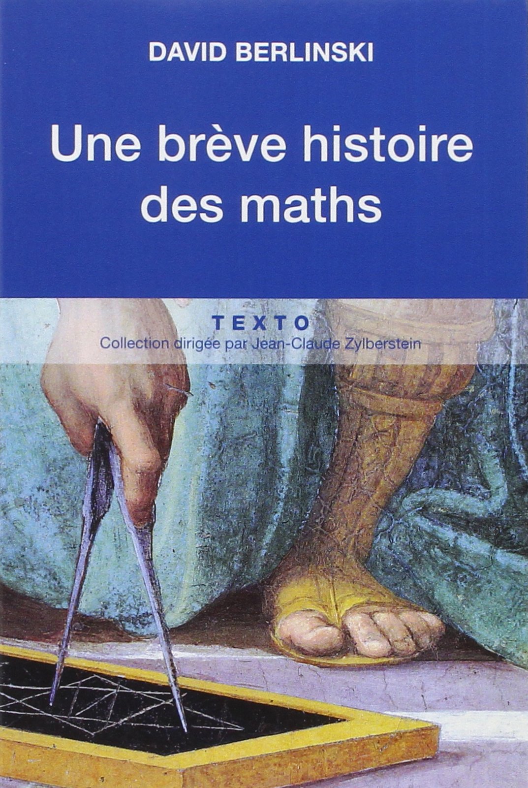 Amazon Fr Une Breve Histoire Des Maths Berlinski David Demazure Helene Livres