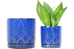 YFFSRJDJ 8 Inch + 6 Inch Indoor Plant Pot with Drainage Holes and Saucers, Ceramic Planter for Plants Succulent Orchid Flower Pots