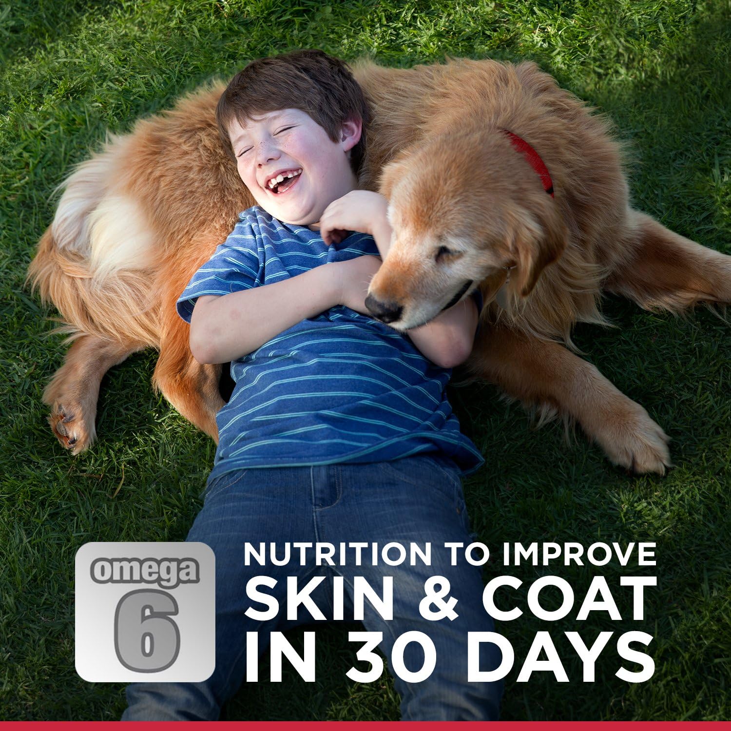 science diet advanced fitness dog food