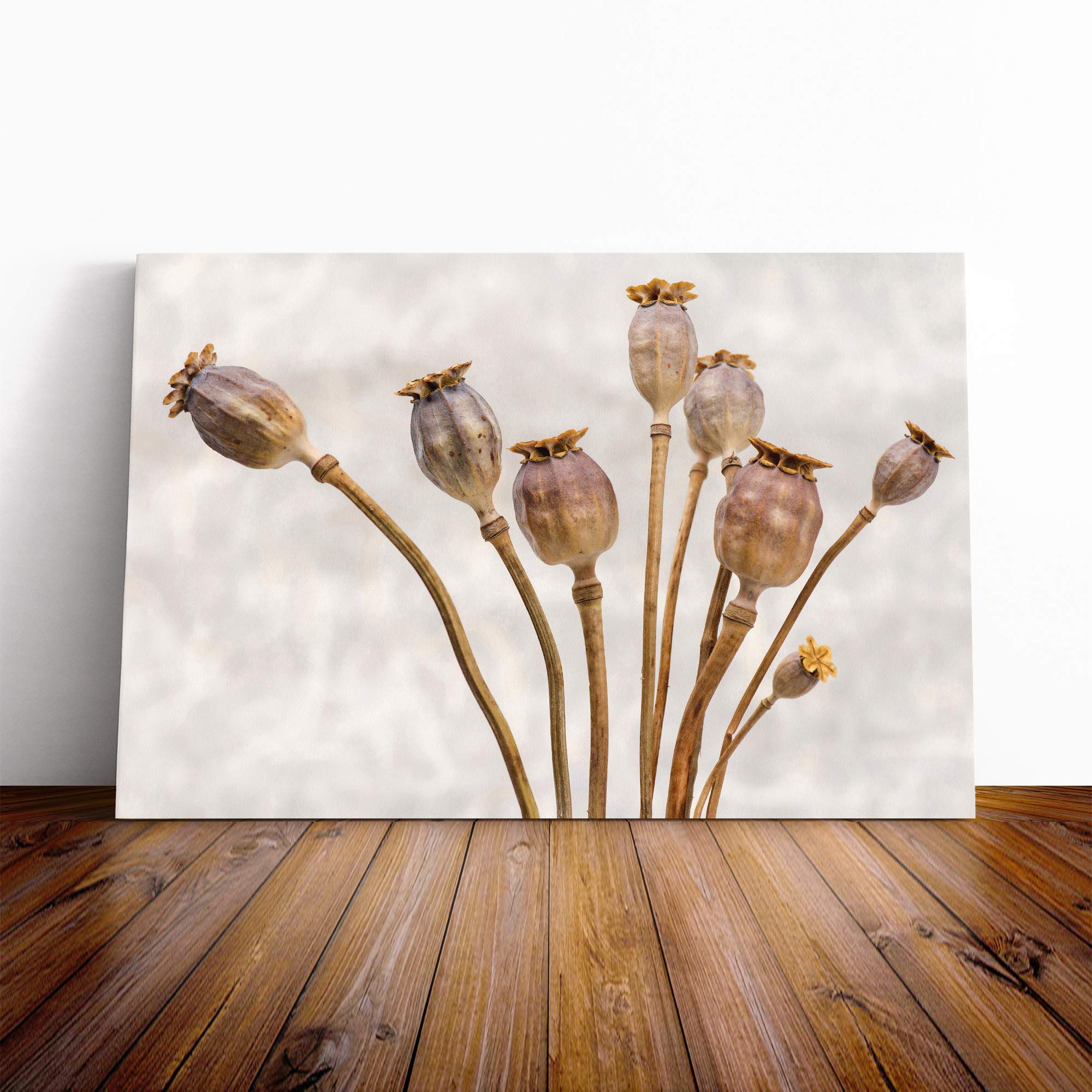 Flower Poppy (3) Canvas Print | Gallery Wrapped 30mm Frame Wall Art | 20x14 inches | Ready to Hang | Modern Floral Picture | Living Room Bedroom Lounge Office