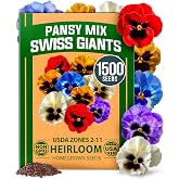 HOME GROWN Pansy Swiss Giants Mix Seeds, 1,500 Seeds, Viola &times; wittrockiana | High Germination, Heirloom, Non-GMO | 1,500 Seeds | 2.13g | Edible Viola | Cold Hardy | Containers &amp; Outdoor Gardens | Annual