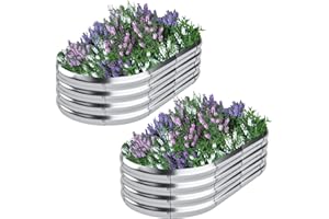 DERYONI Galvanized Raised Garden Bed Kit 2pack,Outdoor Planter Raised Beds 4x2x1ft for Vegetables,Fruits,Flowers,Galvanized Raised Garden Bed Boxes