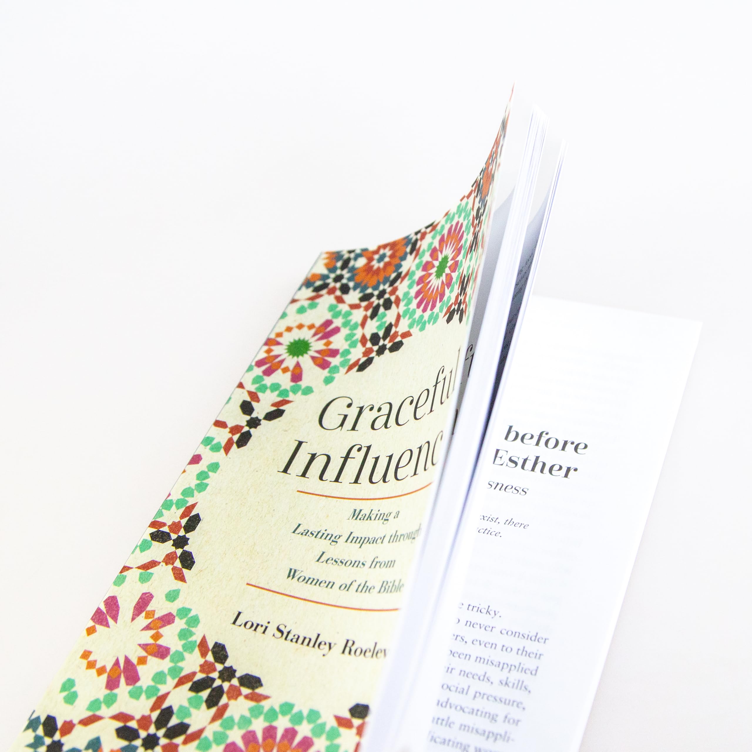 Graceful Influence: Making a Lasting Impact through Lessons from Women of the Bible