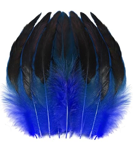 bluee feathers はまく〜ん様 3本おまとめ品 Amazon.com: 50 Pcs Sapphire Blue Pheasant Feathers 2-3