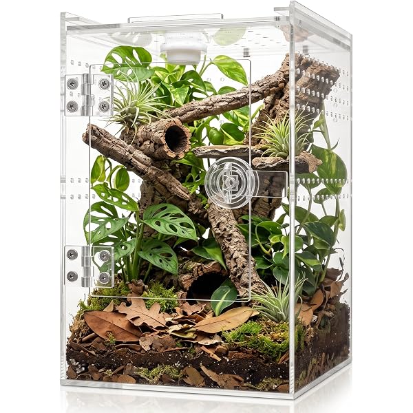 Tarantula Spiders As Pets: Tarantula breeding, where to buy, types