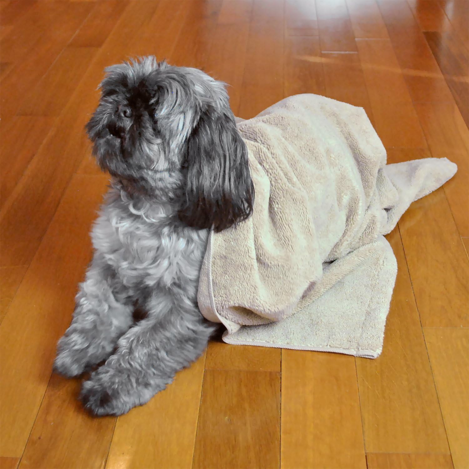 Bone Dry Embroidered Pet Towel, 44 x 27.5", Gray : Pet Supplies