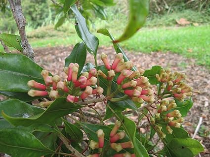 Похожее изображение