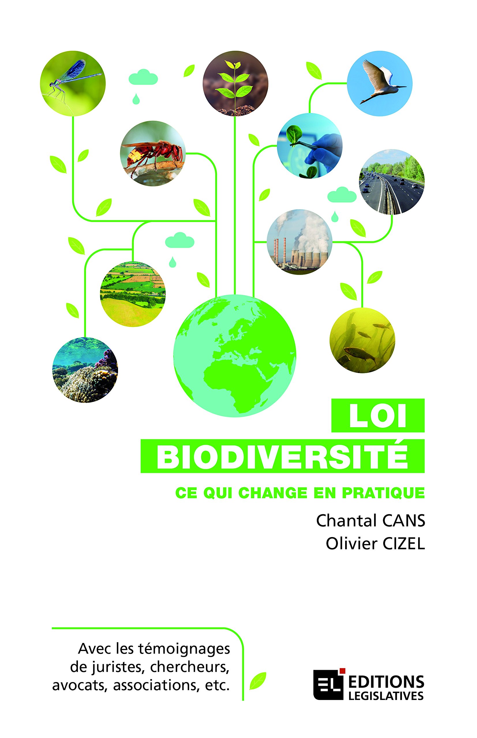 Amazon Fr Loi Biodiversite Ce Qui Change En Pratique Cans Chantal Cizel Olivier Livres