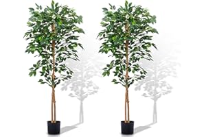 Aphighjoy Faux Plants Artificial Ficus Trees Eucalyptus Trees with Silk Leaves Fake Moss and Sturdy Nursery Pot, Fake Plants for Office Home Decor (5Ft - 2Packs, Upgraded Ficus Tree)