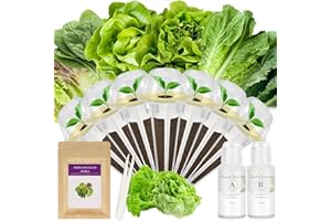 TITANIX Salad Greens Seed Pod Kit for AeroGarden, idoo with Red and Green Leaf, Romaine and American Fast/Buttercrunch/Paris Island Lettuce, Spinach - Hydroponics Supplies for Most Brand (7-pod)