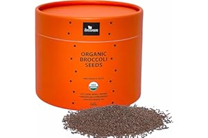 ZESTIGREENS Broccoli Sprouting & Microgreens Seeds-Organic, Non-GMO, Heirloom Sprout Seeds in Bulk Resealable Container for Growing Sprouts and Microgreens (.5 Pound)