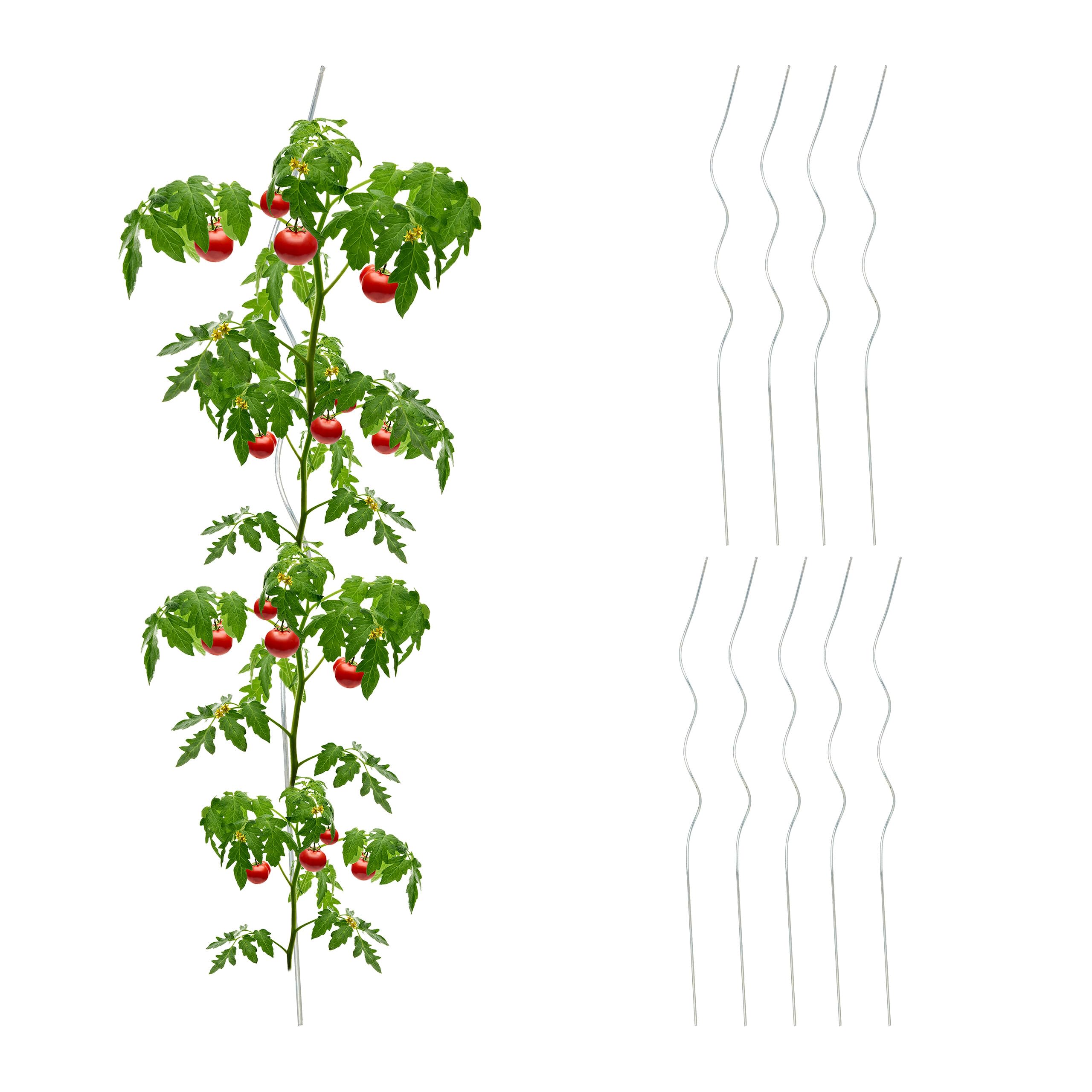 Relaxdays Spiral Tomato Stakes, Set of 10, Vegetable Climbing Rods, Supports, Galvanised Steel, Ø 5 mm, 90 cm, Silver, 90 x 3 x 3 cm