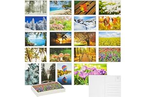 BEST PAPER GREETINGS Best Paper Postcards 40 Pack Nature Bulk, Blank Travel Postcards for Mailing, 20 Assorted Scenic Photos, Four Seasons (4x6 In)