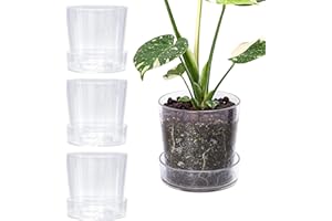 Phoenix Vine 6.5 Inch Clear Acrylic Planter Pot with Tray, Orchid Pot with Drainage Holes, Deep Saucer for Bottom Watering, Transparent Containers for Indoor Plants, Herbs, Set of 4, 91-A-F-4