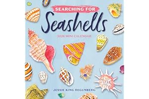 Searching for Seashells Mini Wall Calendar 2026