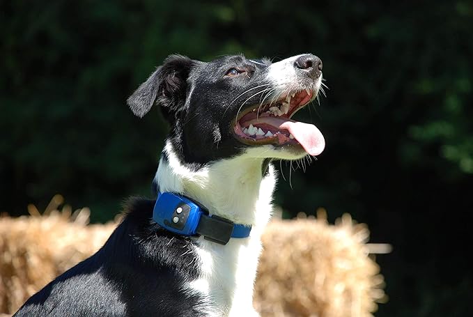 large horse stuffed animal