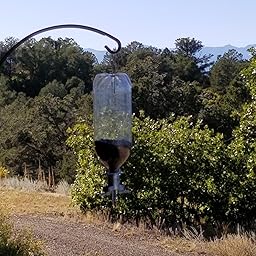 Amazon Com Soda Bottle Bird Feeder Wild Bird Tube Feeders