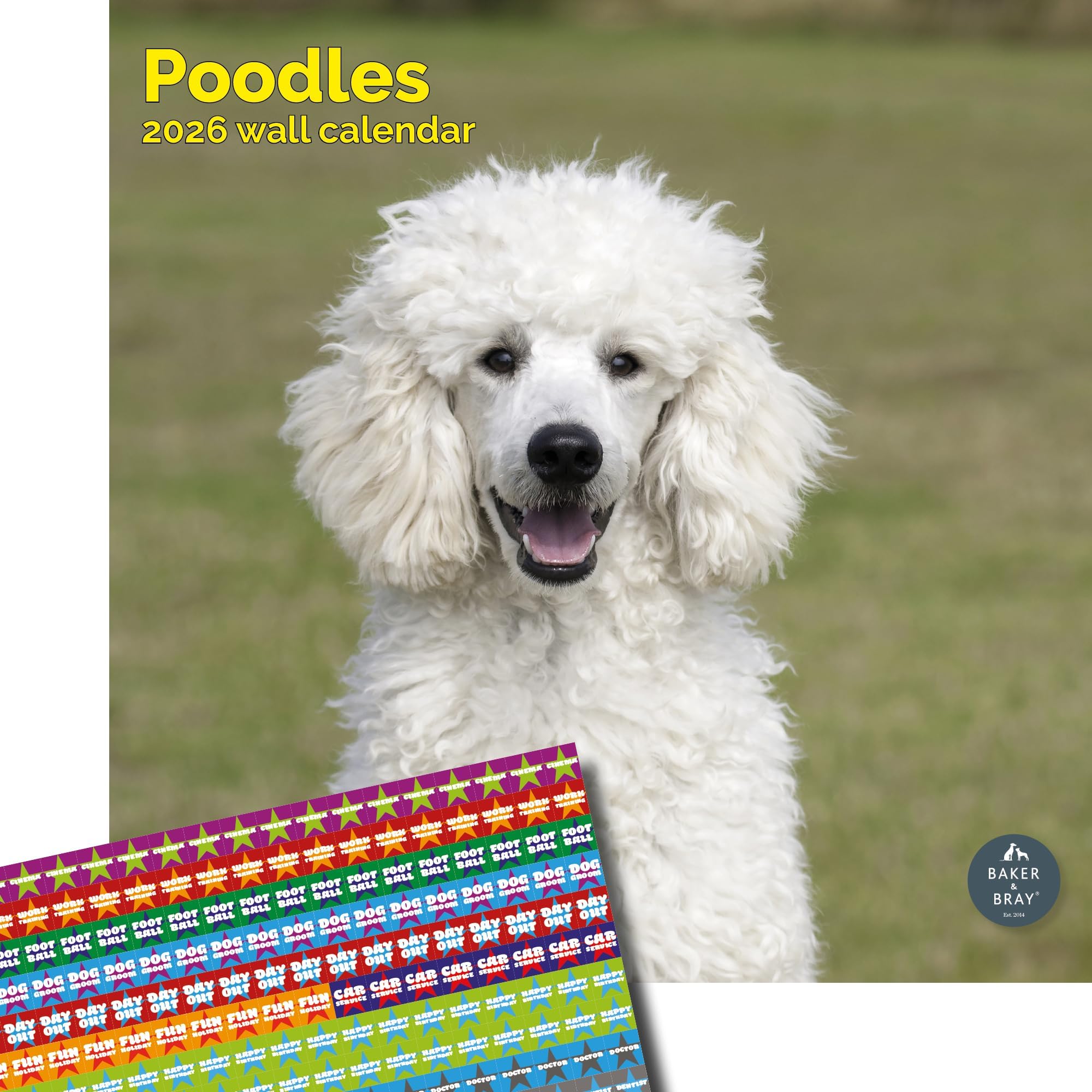 Baker and Bray Poodle Calendar 2026, Large Square Wall Calendar, With Organisational Stickers, 16 Month, Poodle Gift Dog Calendar.