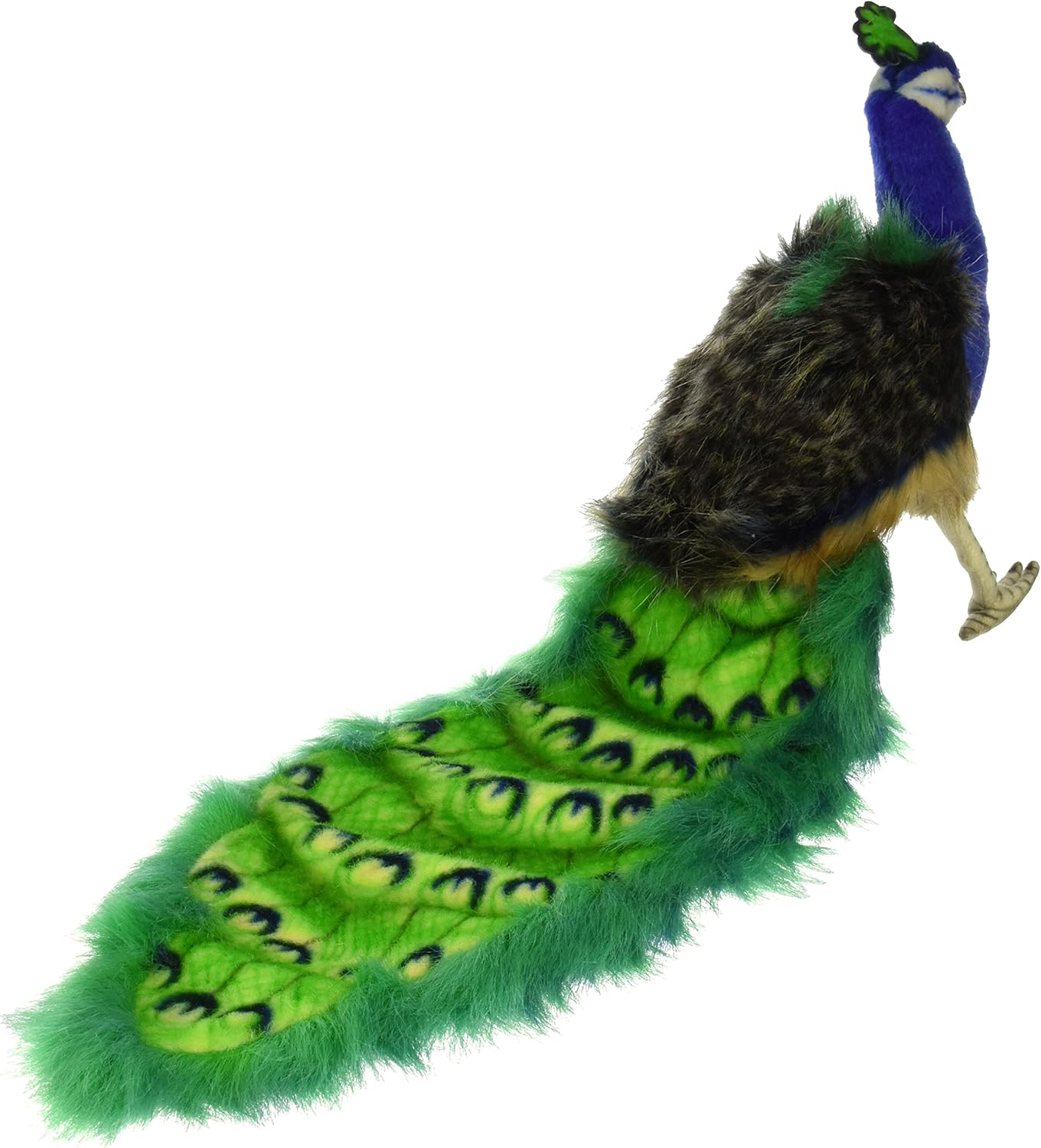 hansa peacock
