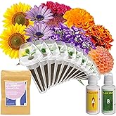 inbloom Fragrant Bouquet Seed Pod Kit for AeroGarden, iDoo, Ahopegarden, GARDENCUBE, 12 Pods (350+ Flower Seeds with Sunflower, Petunia, Mexican Marigold, Cockscomb, French Marigold, Dahlia)