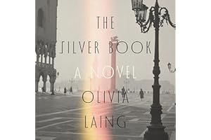 The Silver Book: A Novel