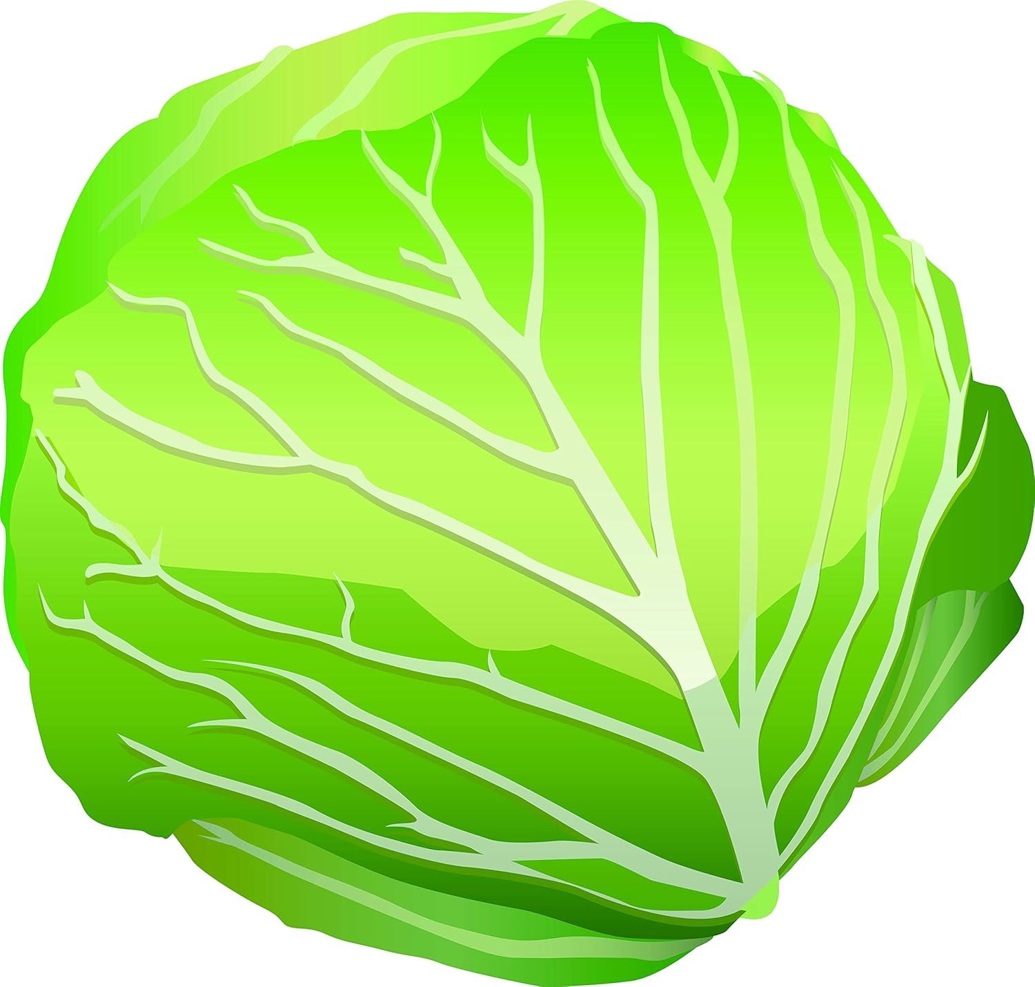 Healthy Foods Jeopardy Template