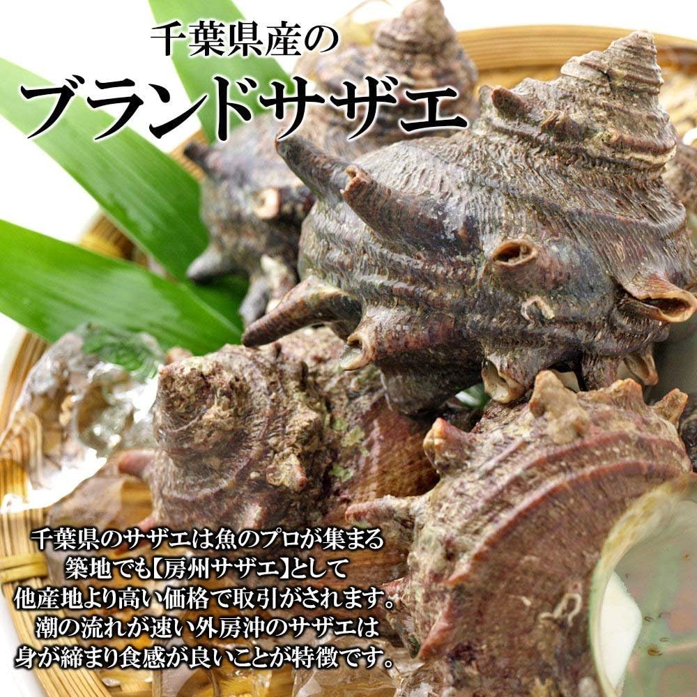 Amazon 千葉県産 サザエ 1キロ5 7入り 150 0gサイズ 国産 バーベキュー q 海産物 浜焼 網焼き お刺身 刺身 黒潮キッチン 鮮魚 通販 Amazon 千葉県産 サザエ 1キロ5 7入り 150 0gサイズ 国産 バーベキュー q 海産物 浜焼 網焼き お刺身 刺身 黒潮キッチン 鮮魚 通販