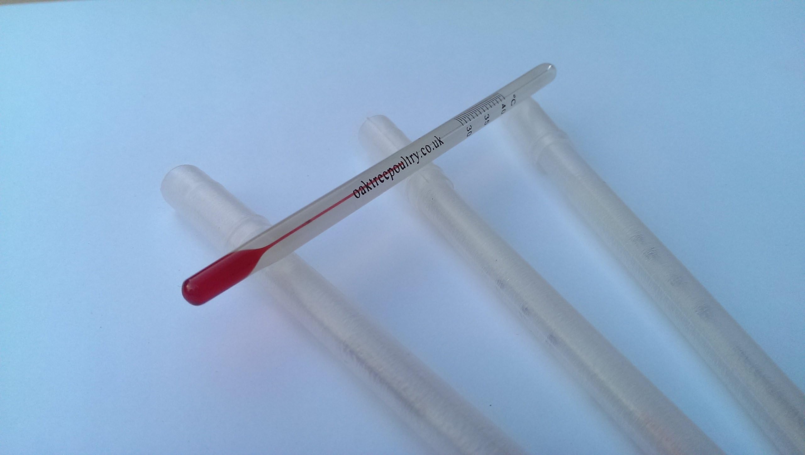 Traditional Incubator Hatcher Thermometer Stick Style - FREE DELIVERY