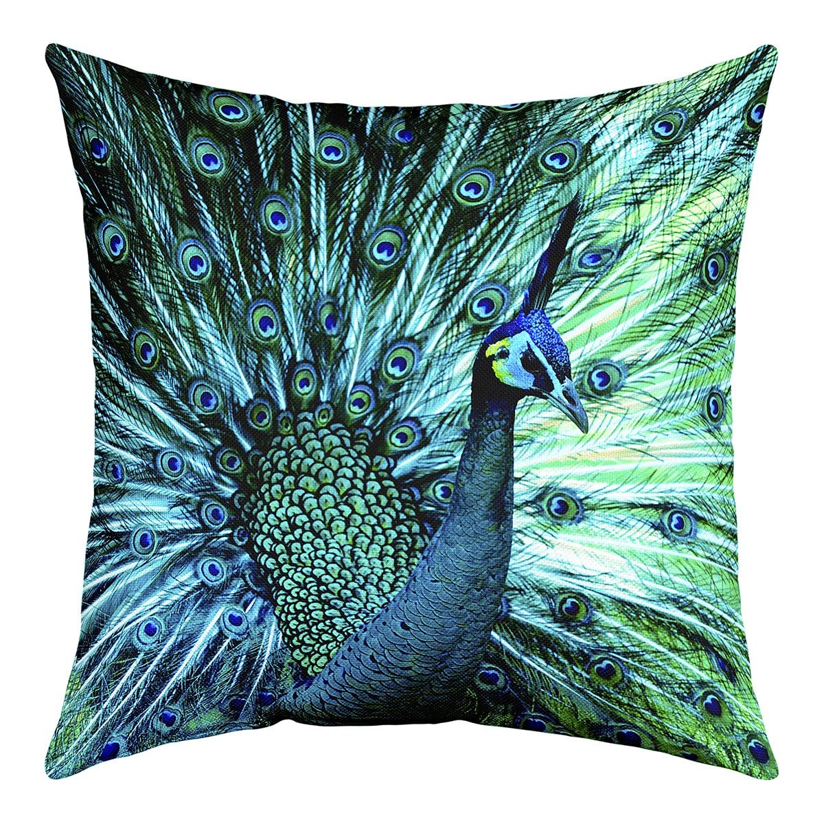Loussiesd Peacock Throw Pillow Covers 16"x16" Set of 4 Soft Animal Theme Cushion Covers for for Sofa Peacock Feathers Design Green Blue Natural Style Decorative Pillowcases Outdoor Pillows Covers