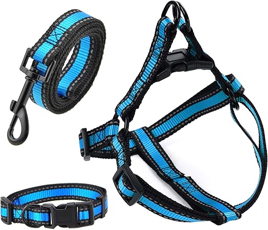 dog collar leash and harness sets