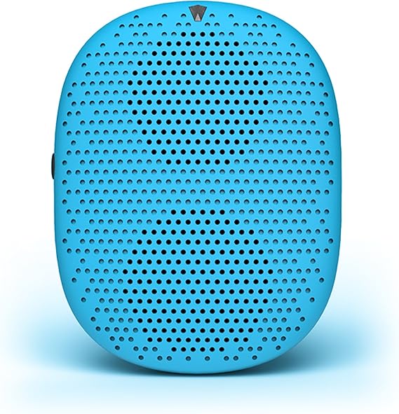 blueberry bluetooth speaker