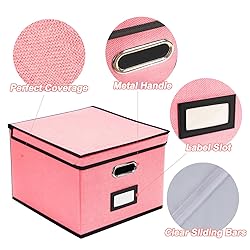 EOOUT 1 Pack File Organizer Box with Lid Hanging