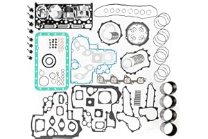 Eoiou Overhaul Rebuild Kit Fits for Kubota V2203 IDI Indirect Injection Engine Bobcat 753 763 Skid Steer 331 334 335 337 341 430 435 E42 E45 E50 Excavator