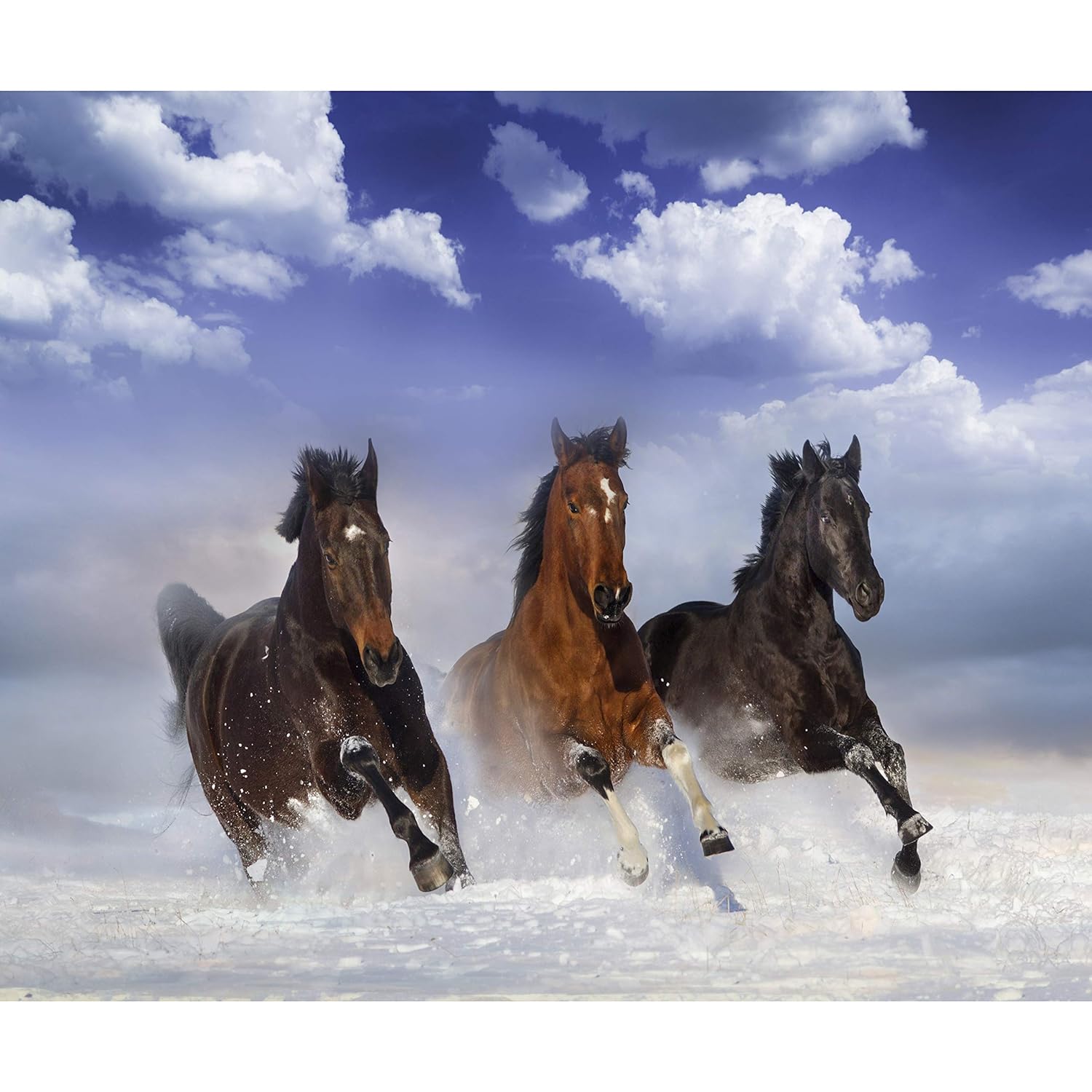 Decomonkey Fototapete Wald 300x210cm - Vlies Tapete Mit Tieren Für Wohnzimmer