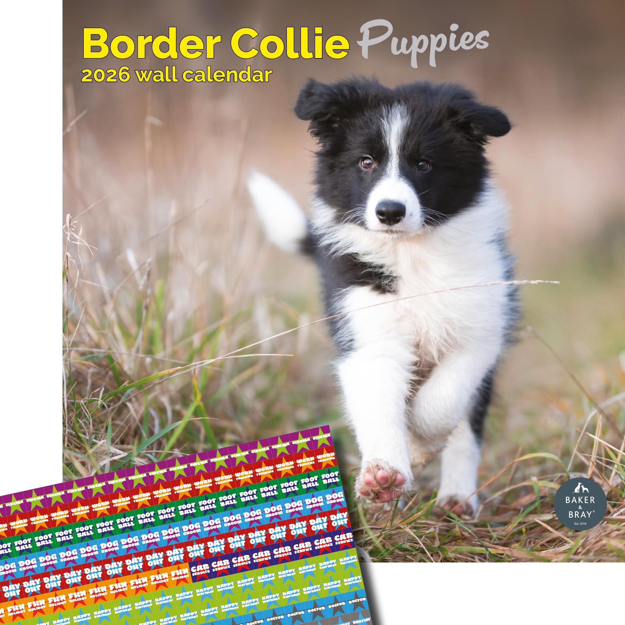 Baker and Bray Border Collie Puppies Calendar 2026, Large Square Wall Calendar With Organisational Stickers, 16 Month, Border Collie Puppies Gift Dog Calendar