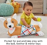 Fisher-Price 3-in-1 Puppy Tummy Time Wedge with Mirror Teether Rattle HJW10 view 4