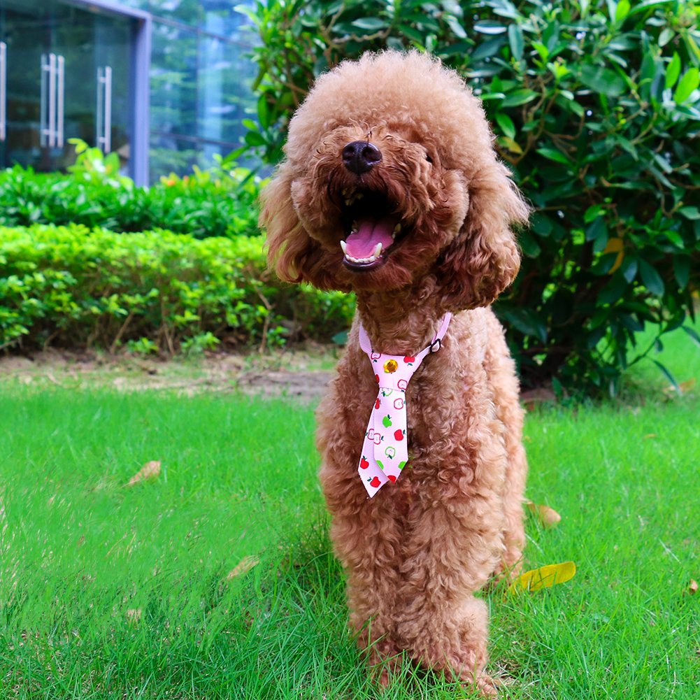 SW Lovely Adjustable Dog Puppy Collar Cat Bow Tie Pet Costume Necktie for Small Dogs Puppy Grooming Accessories, Free Size, 6 Patterns, Pink