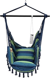 Project One Hanging Rope Hammock Chair, Hanging Rope Swing Seat with 2 Pillows, Carrying Bag, and Hardware Kit Perfect for Outdoor/Indoor Yard Deck Patio and Garden, 300 LBS Cap (Blue Green Stripe)