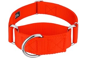 COUNTRY BROOK DESIGN Country Brook Petz 1 1/2 Inch Martingale Heavy Duty Nylon Adjustable Dog Collar for Small, Medium, Large Breeds - Vibrant 17 Color Selection (Hot Orange, Medium)