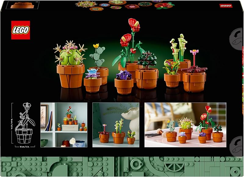 Botanicals Plantas Diminutas con 9 Flores Artificiales para Construir en Maceta de Terracota - Decoración del Hogar - Regalo de Cumpleaños para Mujer, Hombre, Esposa o Esposo 10329