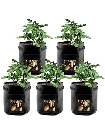 Bolsas para plantas | Amazon.es