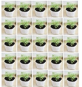 Evergreen UV Treated Poly Grow Bags (White Outside, Black Inside - 20 Bags)